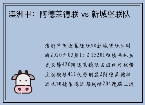 澳洲甲：阿德莱德联 vs 新城堡联队